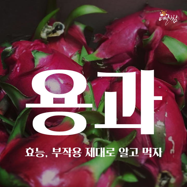  [매일아침좋은글] 용과 효능, 부작용 제대로 알고 먹자