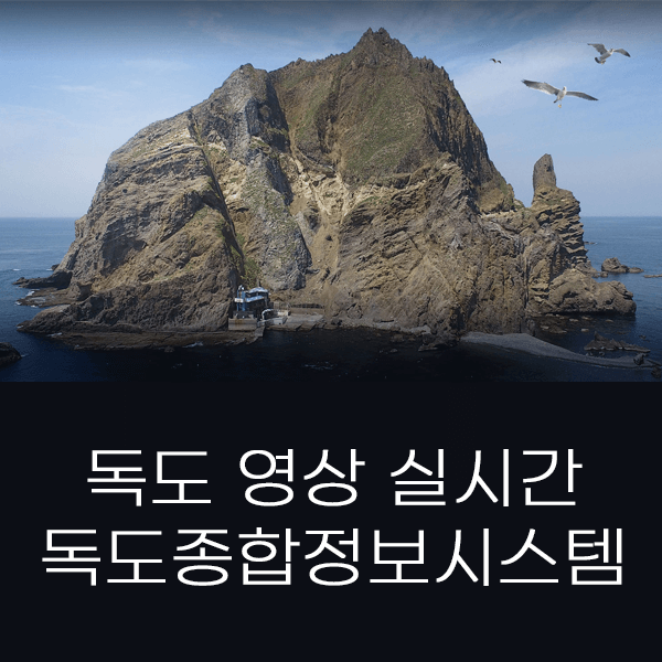  독도 실시간 영상 보기 -  독도종합정보시스템