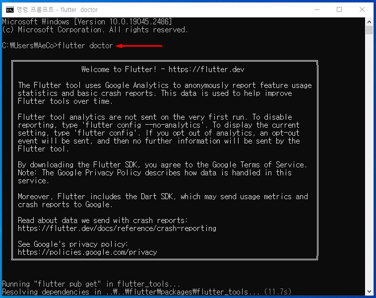 플러터 설치 여부 확인