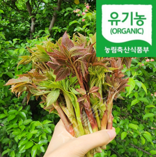 눈개승마 사러가기