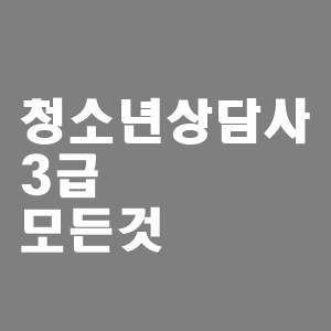  청소년상담사 3급 응시자격 기출문제