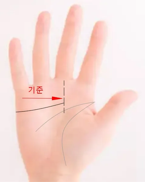 중지까지 오는 감정선