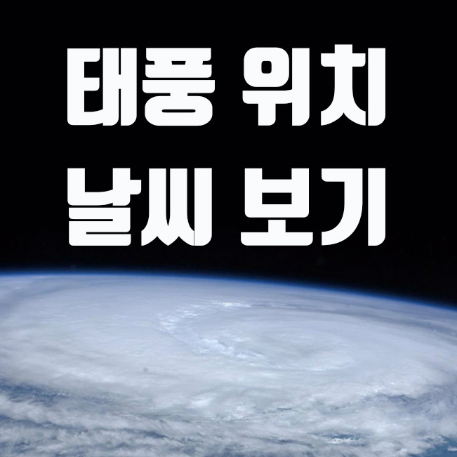  실시간 태풍 경로 현재 위치 확인 및 날씨 사이트 2가지 (윈디, 구글 어스 눌스쿨)