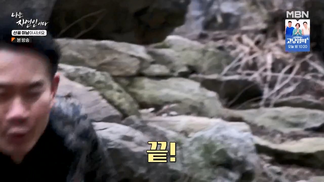 나는 자연인이다.E592.240208p-NEXT.mp4_20240208_193239.129.jpg