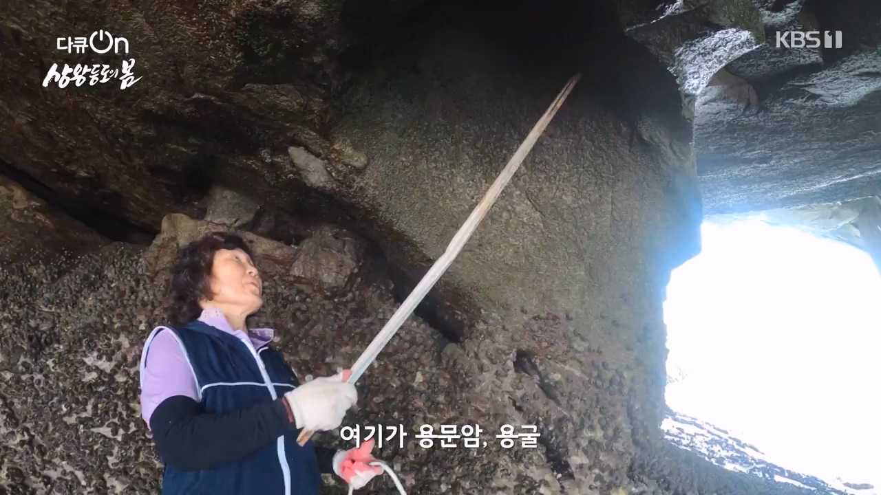 다큐 온.E249.240526p-NEXT.mp4_20240526_152351.117.jpg