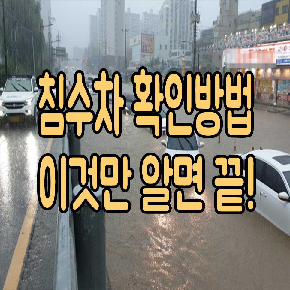  침수차량 확인방법 이것만 알면 끝