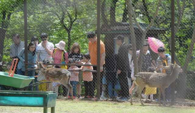 인천대공원