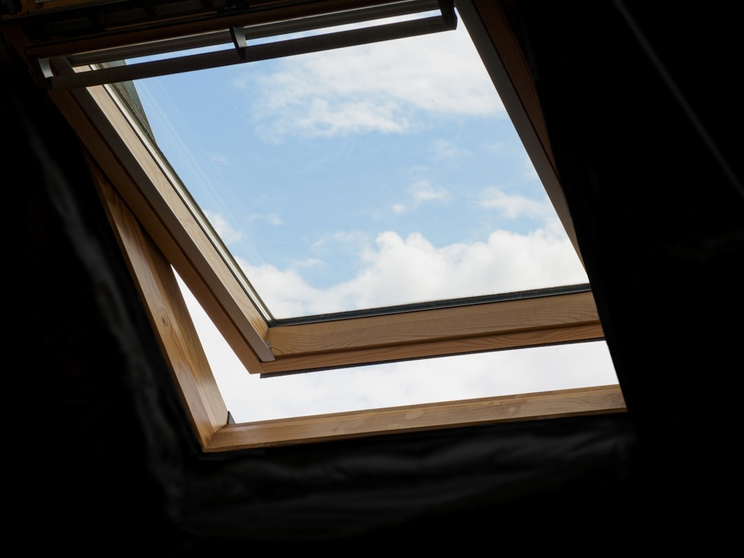 Window.