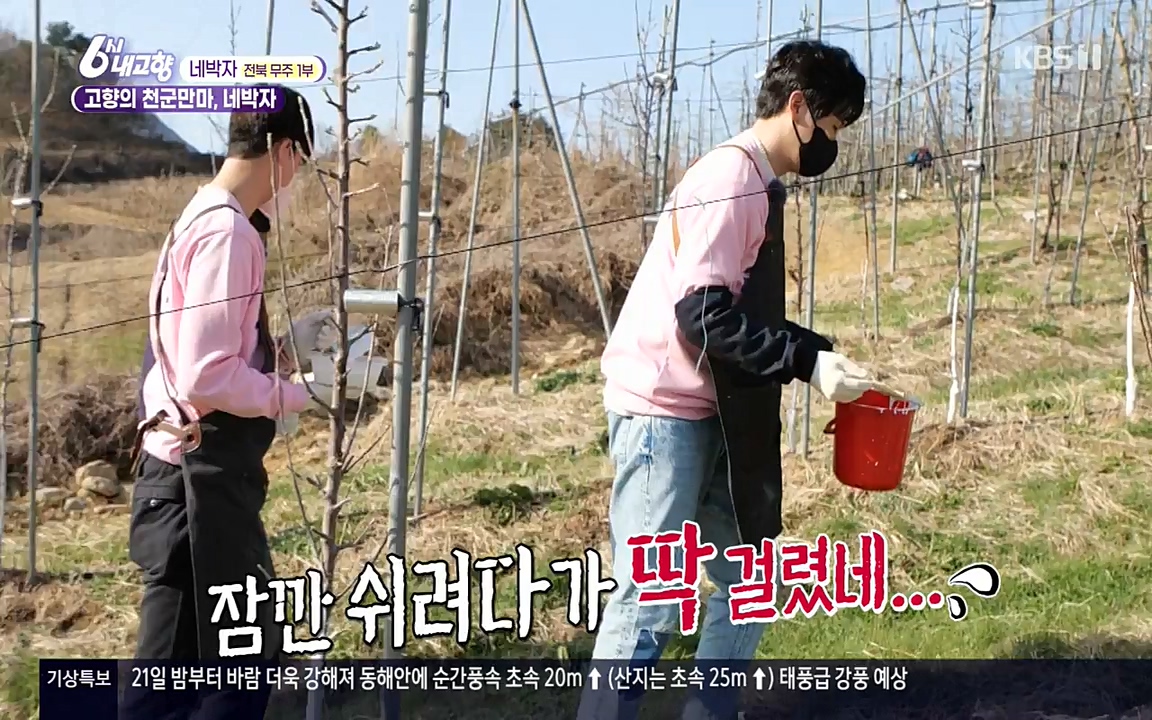 6시 내고향.E7523.220421p-NEXT.mp4_20220507_181123.497.jpg