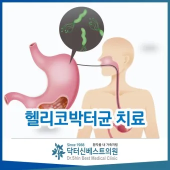 헬리코박터균 제균 치료 치료방법 성공률_19