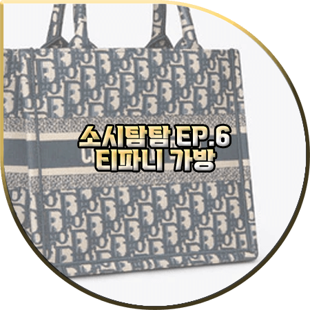  소시탐탐 6회 티파니 가방 :: 크리스찬 디올 DIOR BOOK 토트백 : 티파니 패션