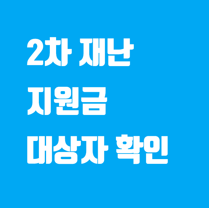  2차 재난 지원금 대상 확인