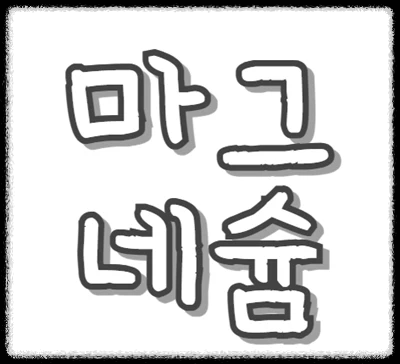 마그네슘 효능