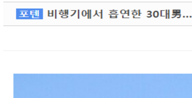  비행기 흡연충의 최후