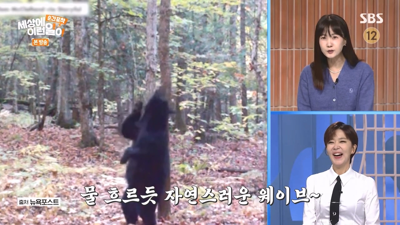 순간포착 세상에 이런일이.E1251.231105p-NEXT.mp4_20231105_172802.085.jpg