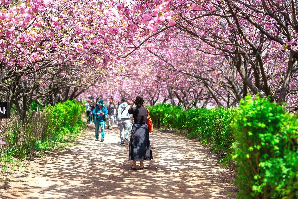 전주 완산칠봉 꽃동산 등산로 벙커 코스_3