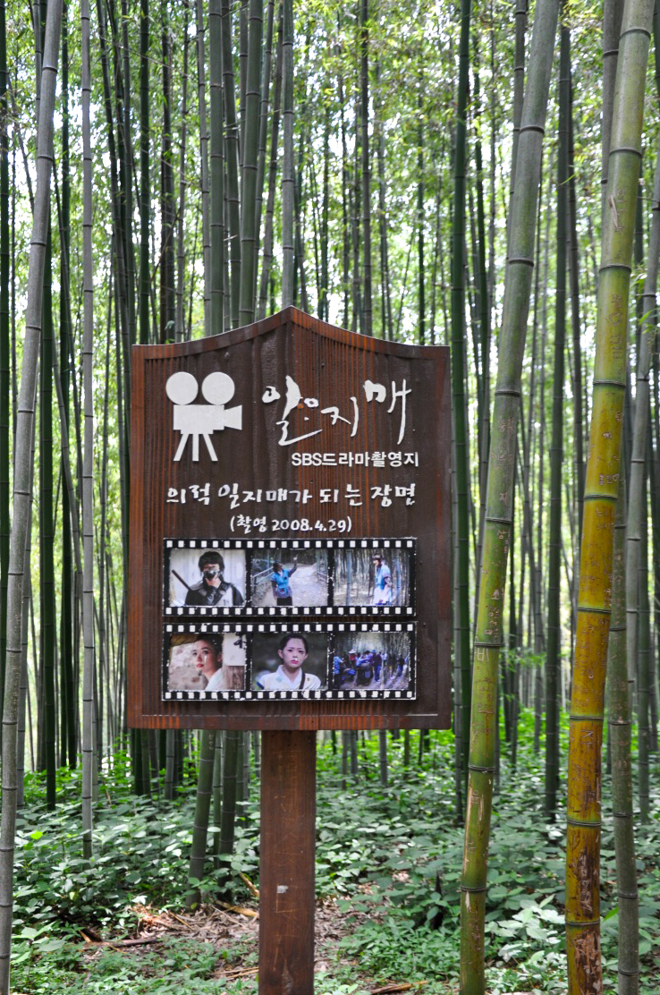 죽녹원6