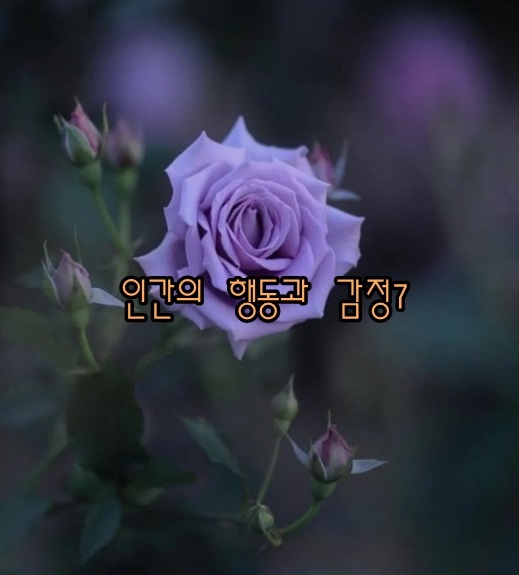  인간의 행동과 감정 - 해몽8;소원,절망감,승리감,패배감,열등감,안이함,고통,하대나 천시 등.