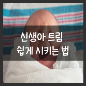 “신생아의 헤어컷을 간편하게! 팁과 노하우”