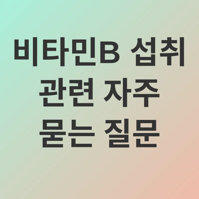 비타민B 섭취_4