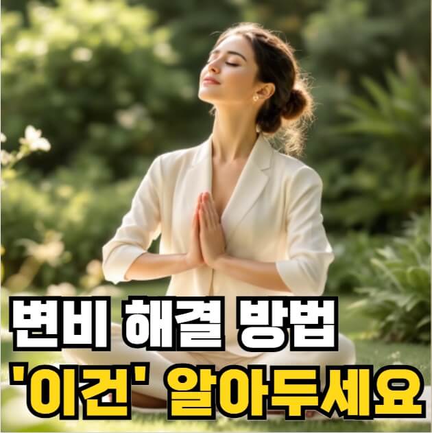 변비 해결방법 원인