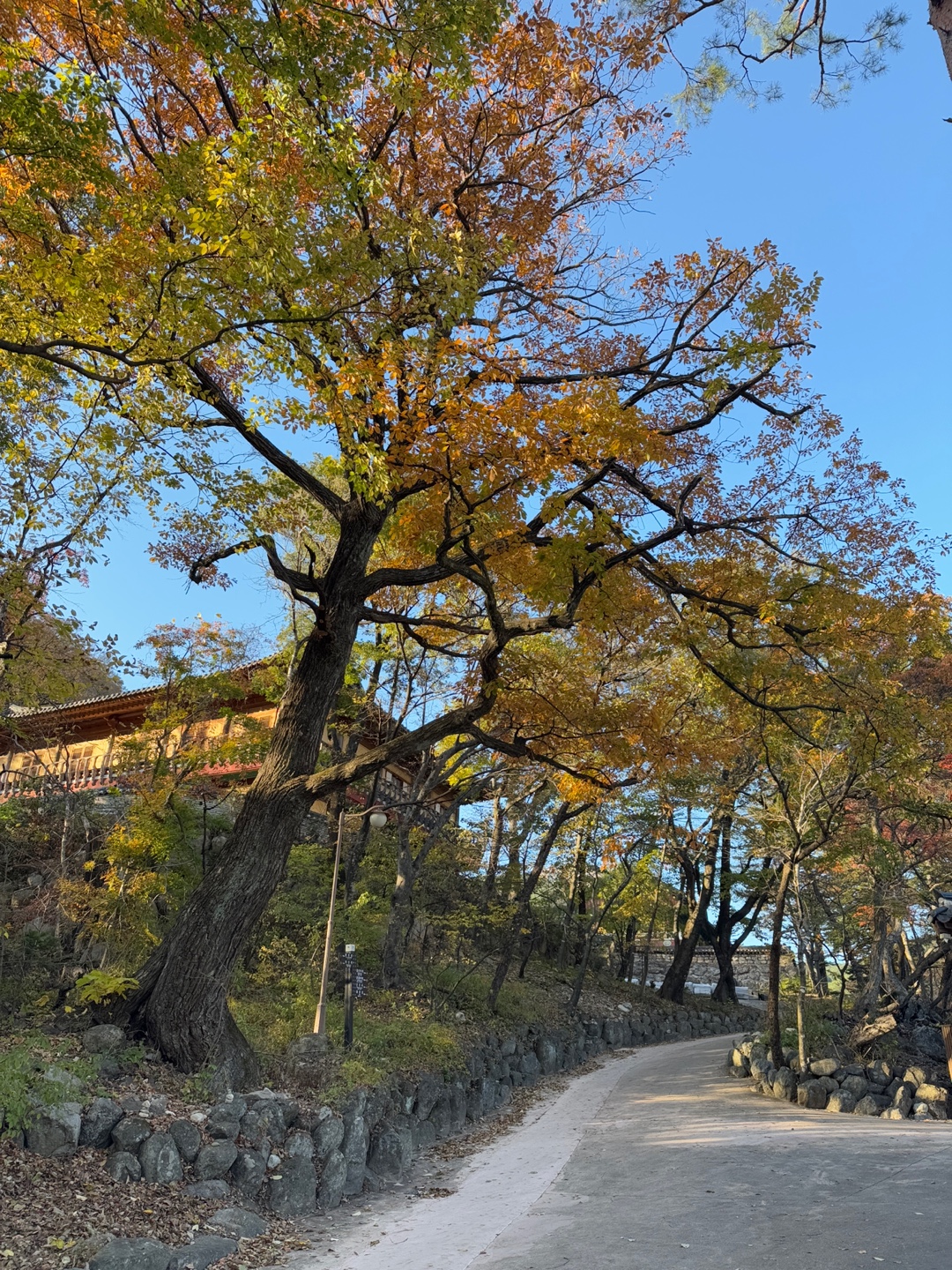 설악산 신흥사