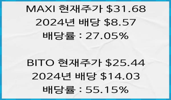 MAXI BITO 차트 비교