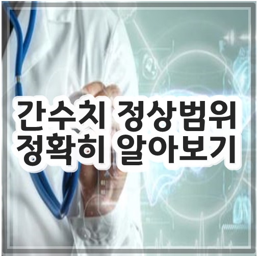 간수치 정상범위 정확히 알아보기