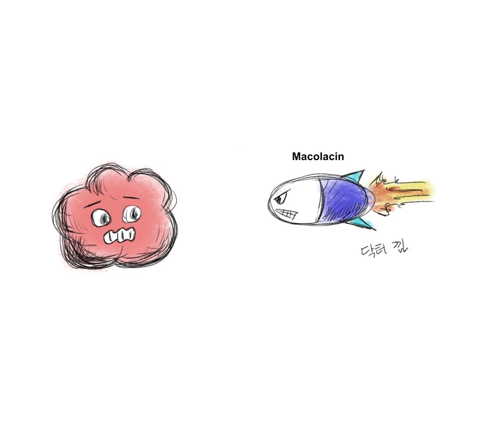  슈퍼박테리아를 이기는 새로운 항생제 이야기.