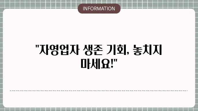 2차 소상공인 자영업자 상생지원금: 실속 정보
