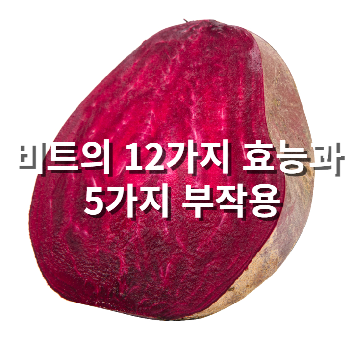 비트효능과 부작용