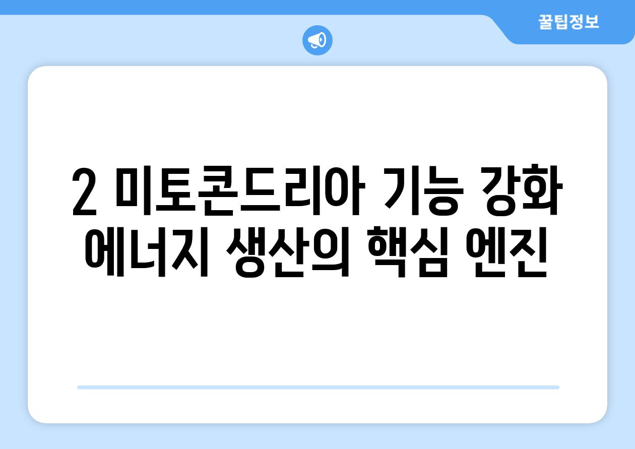 2. 미토콘드리아 기능 강화: 에너지 생산의 핵심 엔진!