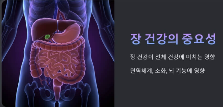 장 건강의 중요성 이미지
