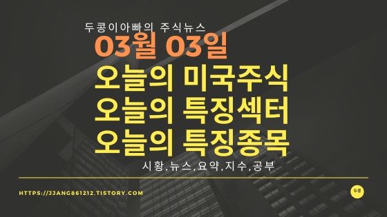  20년 03월 03일 미국증시,특징섹터,특징종목