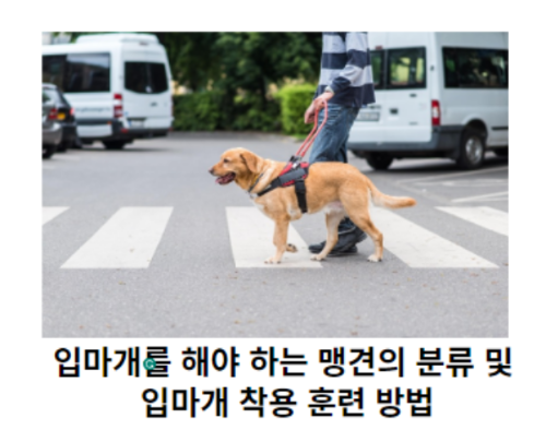 입마개를-해야-하는-맹견의-분류-및-입마개-착용-훈련-방법-썸네일