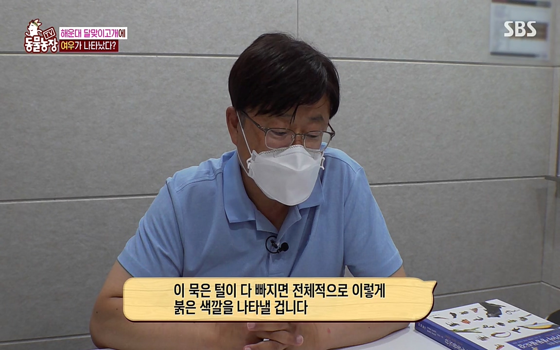 TV 동물농장.E1079.220725p-NEXT.mp4_20220724_151954.119.jpg