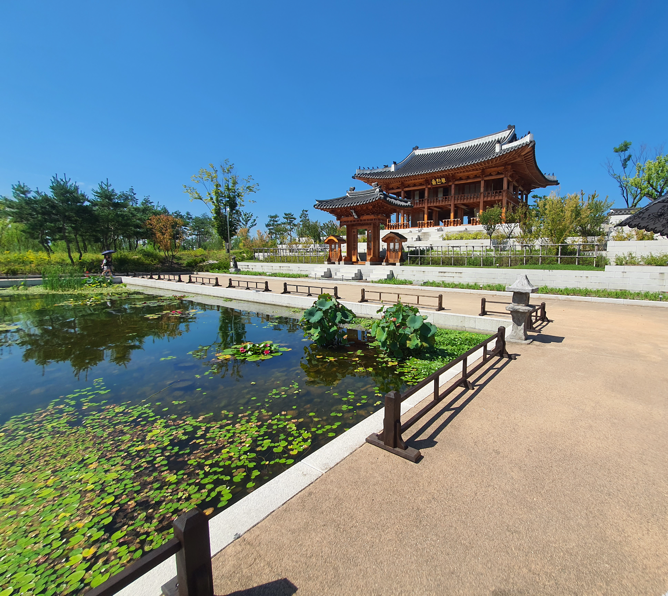 세종 국립세종수목원 한국전통정원 도담정 솔찬루 탐방