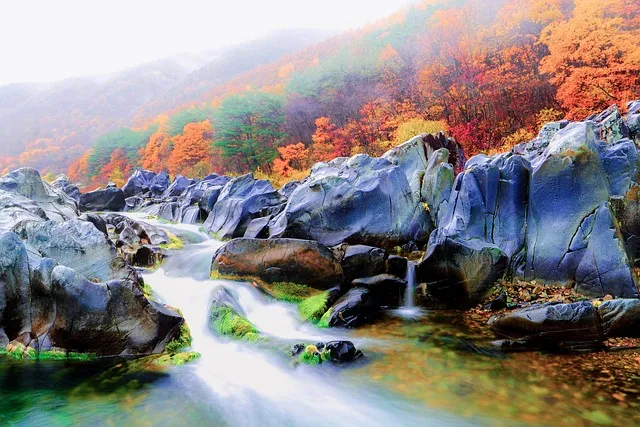 경북 울진 드라이브 코스 추천 전망대 포함 명소 탐방_9