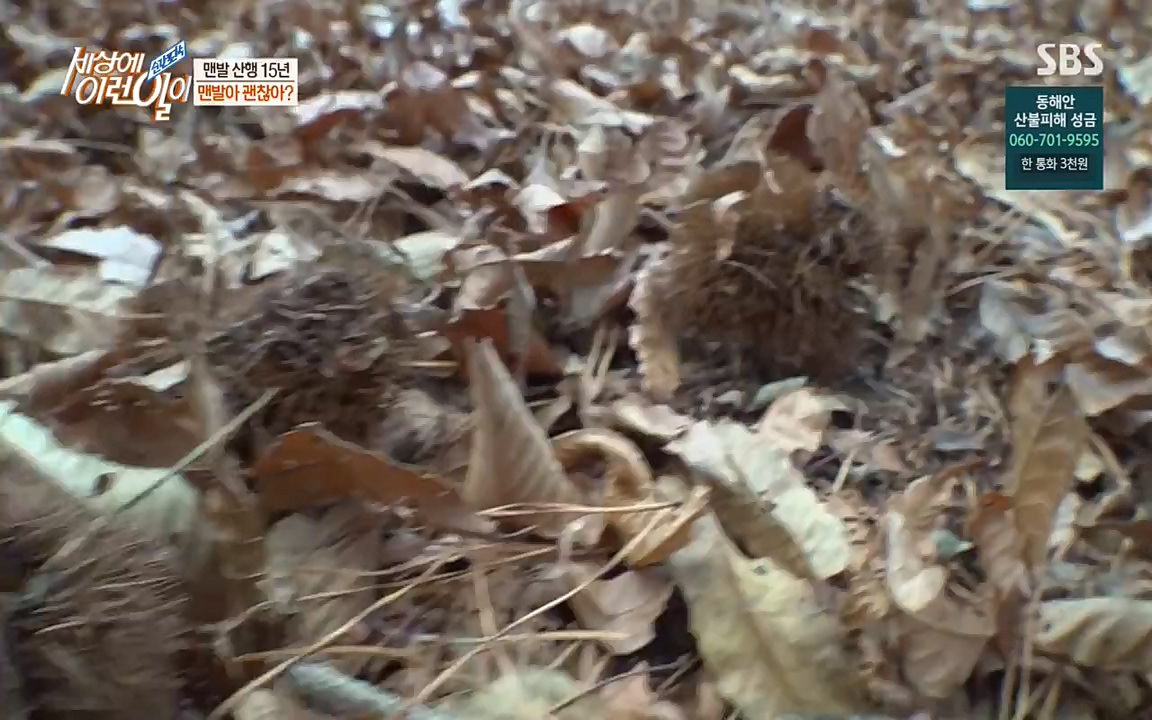 순간포착 세상에 이런일이.E1171.220316p-NEXT.mp4_20220316_184940.543.jpg