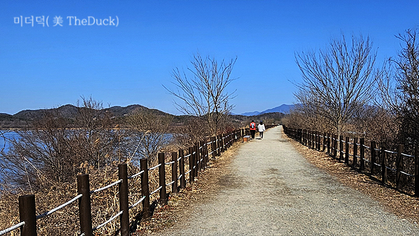 우포늪 대대제방 산책로
