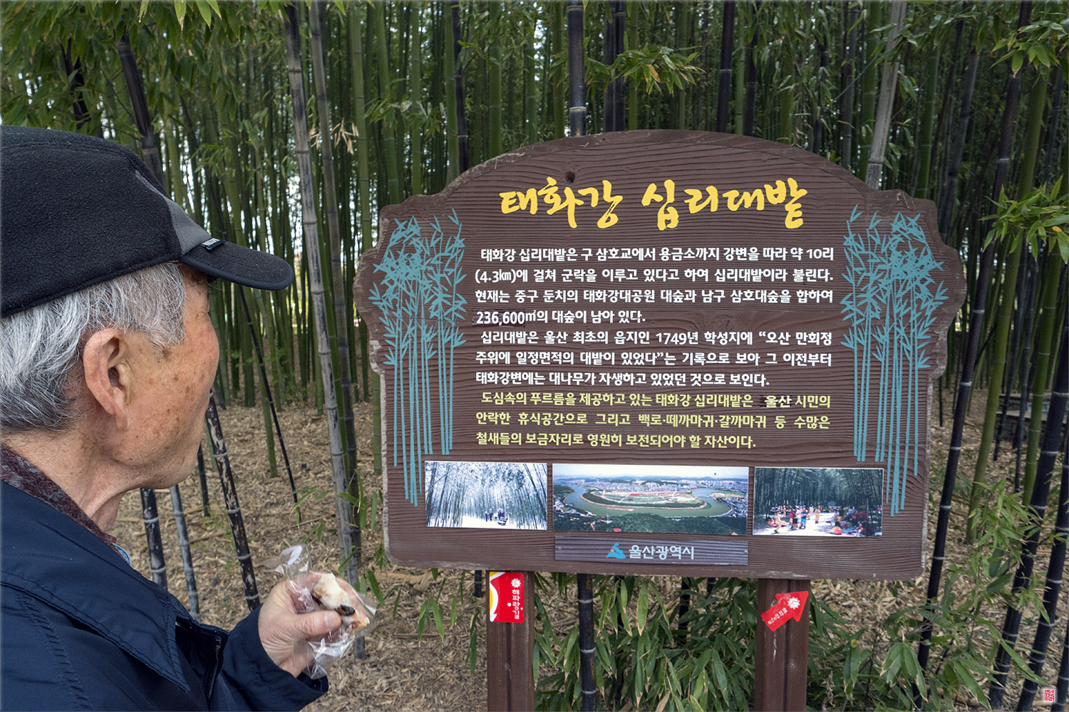  [삼성NX500] 10대밭에서....