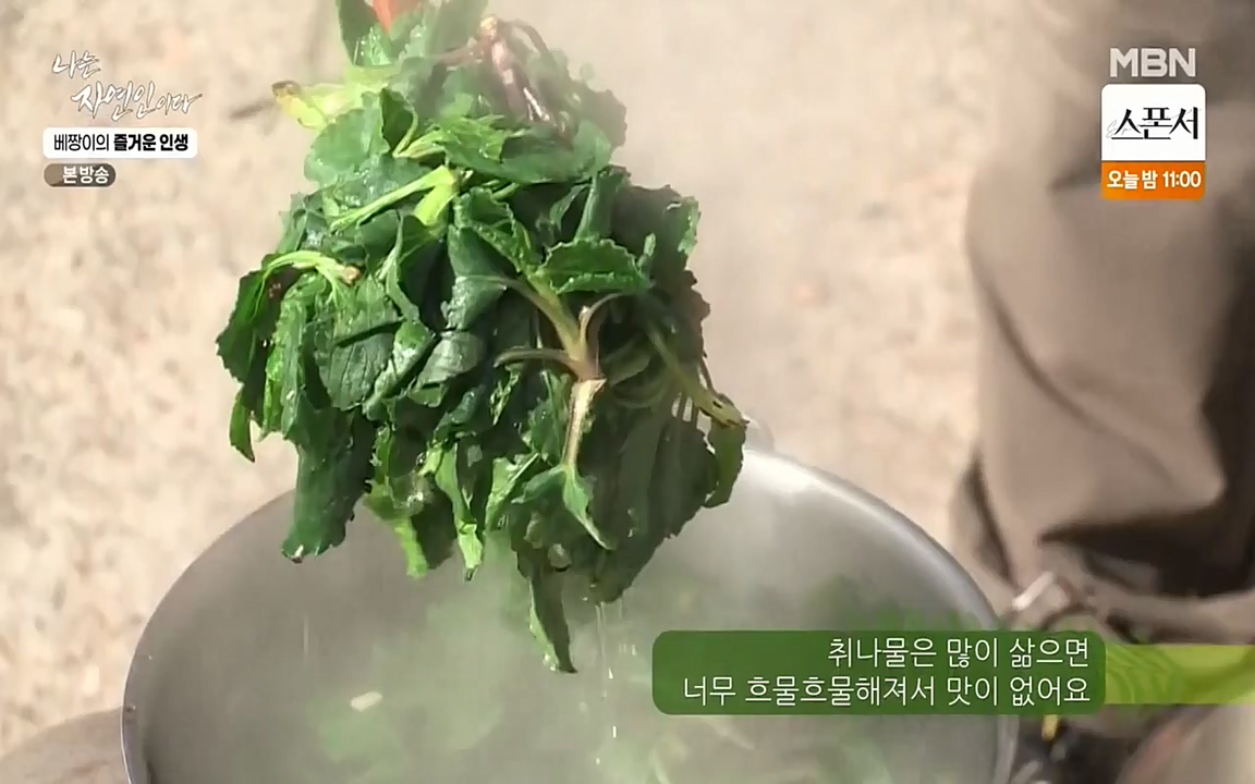 나는 자연인이다.E495.220331p-NEXT.mp4_20220331_174339.746.jpg