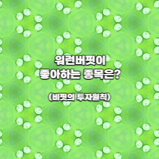  워런버핏이 좋아하는 종목은? (버핏의 투자원칙)