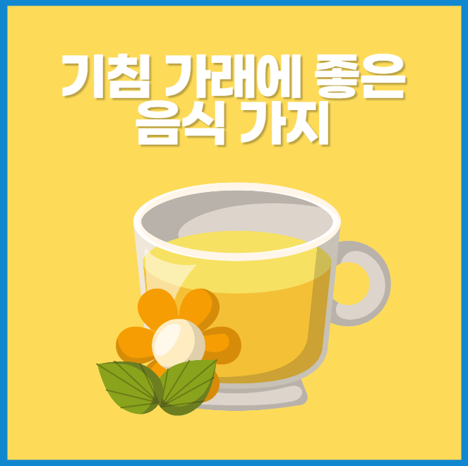 기침가래에좋은음식
