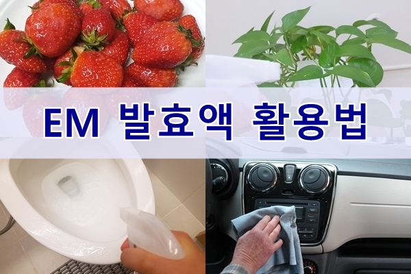  EM발효액 활용법 10가지