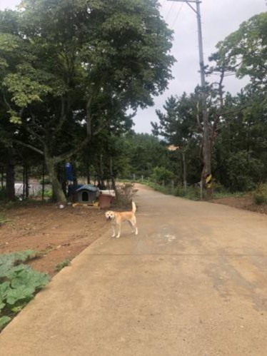 승봉도 펜션 승봉도펜션, 5