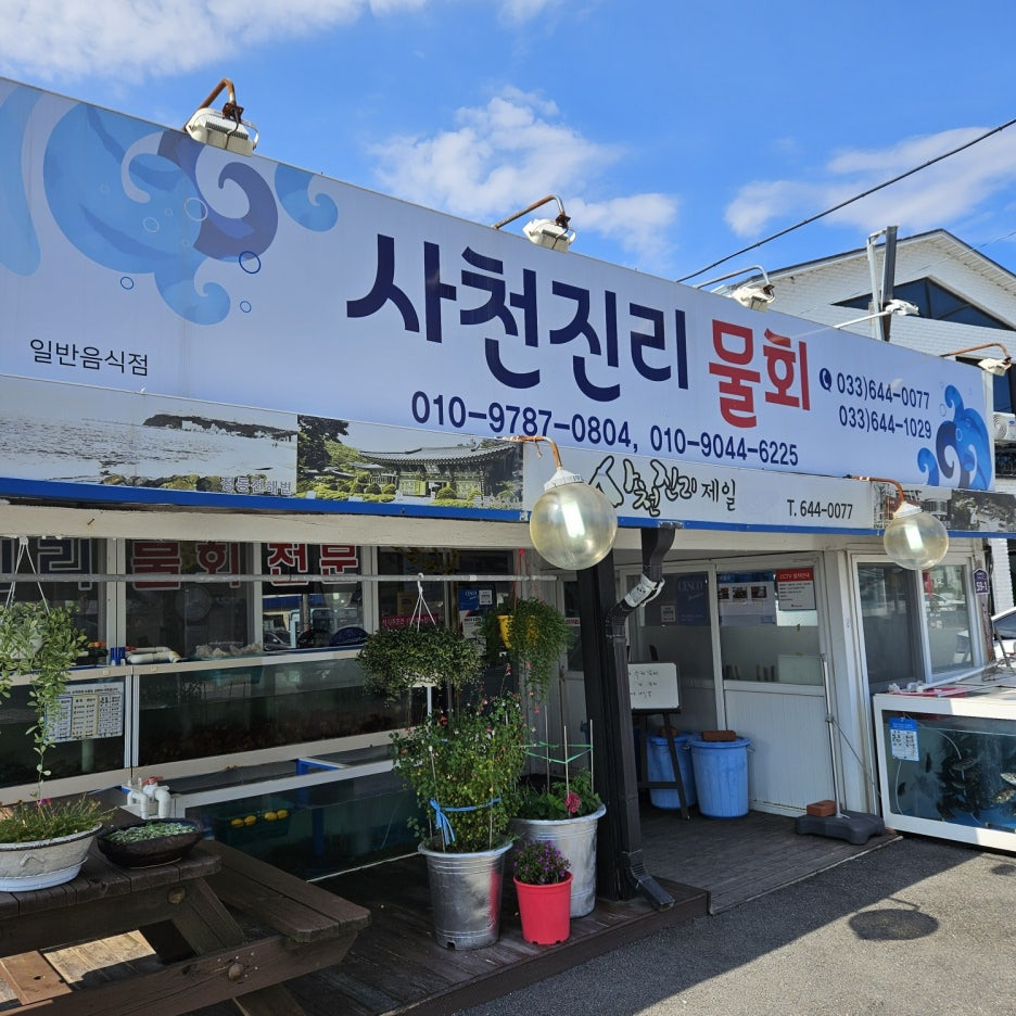 사천물회전문 이미지