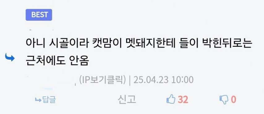 어느날 시골에서 캣맘이 모두 사라진 이유 ㄷㄷ 3