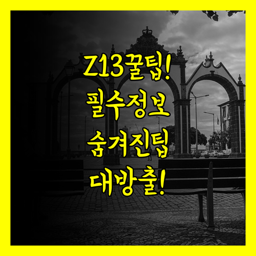 ROG Flow Z13 사용자라면 꼭