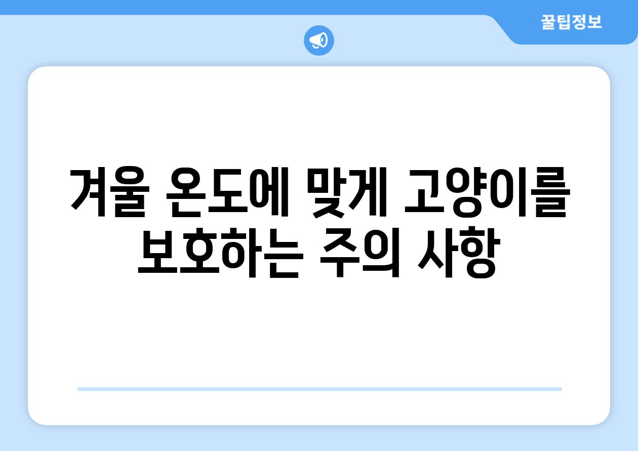 겨울 온도에 맞게 고양이를 보호하는 주의 사항